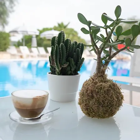Aparthotel Il Falco